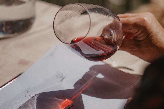 Spanish Wine Tasting - Who will enjoy this tasting most?