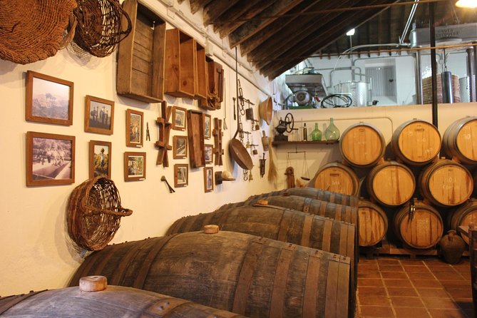 Sun and Wine Route - Small group, wine tasting and tapas included - The morning drive from Málaga’s eastern coast
