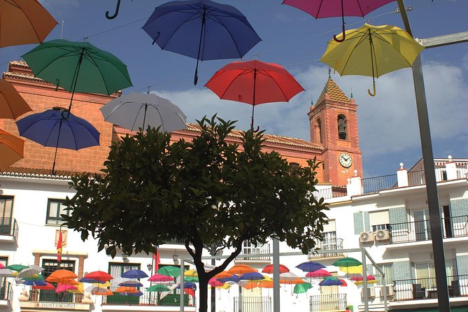 Sun and Wine Route - Small group, wine tasting and tapas included - Four wines, two grape varieties, and tapas