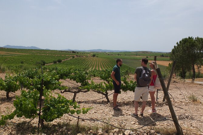 Tapas in the vineyards - FAQ