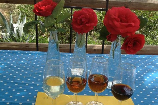 Tapas & Sherry an Andalucian Gourmet Experience. - A mountain afternoon instead of another resort lunch