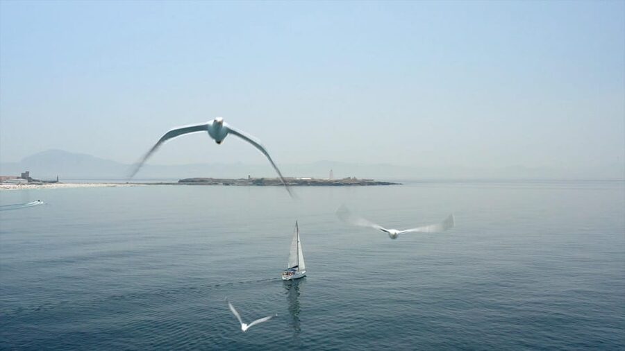 Tarifa: Sailboat Tour, Snorkelling, Tapas & Drinks - Tapas, tortilla, and drinks on the deck
