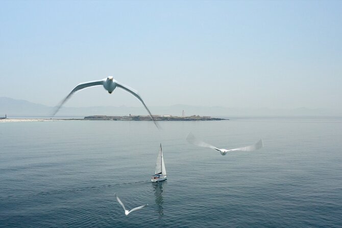 Tarifa Sailing and Snorkeling Excursion with tapas and drinks - Fernando’s hosting and the small-boat feel