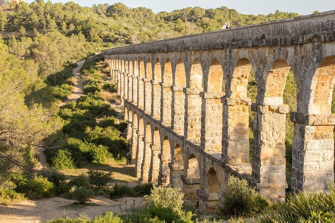 Tarragona Culinary Experience: Olive Oil & Iberian Ham Delight - Is $228.30 per person good value?