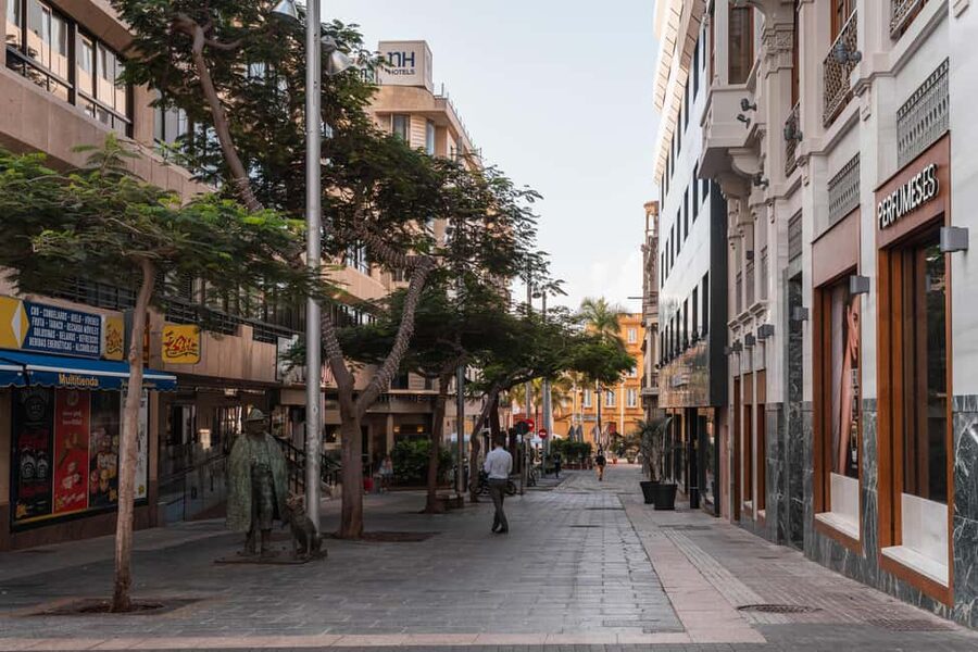Tenerife: Gourmet Tapas and Wine Tour - Food, drink, and pacing advice