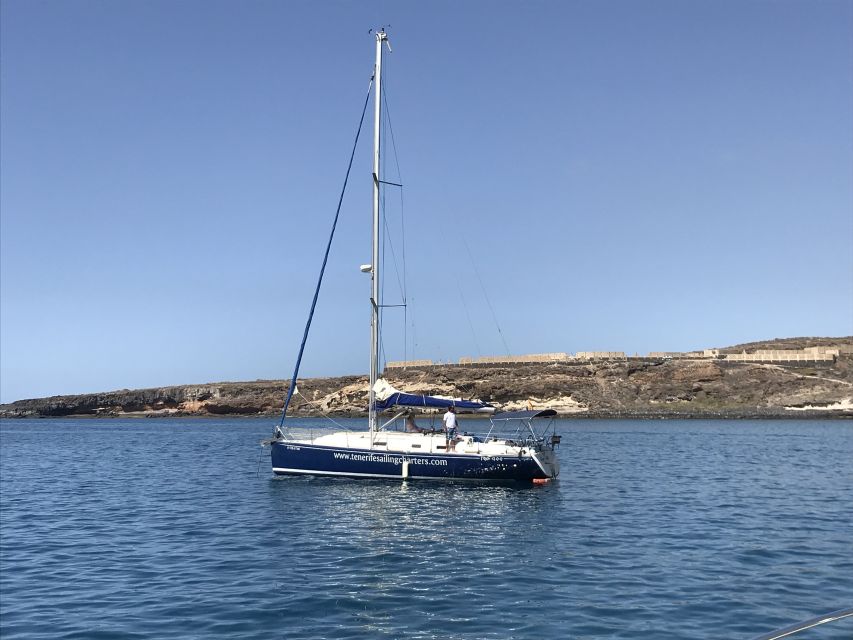 Tenerife: Private Sunset Charter with Drinks and Tapas - Looking for whales, dolphins, and turtles