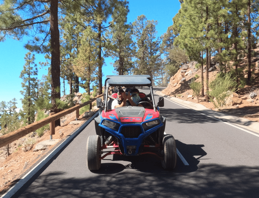 Tenerife: Volcano Teide Buggy Tour with Wine Tasting & Tapas - How much value do you get for $247?