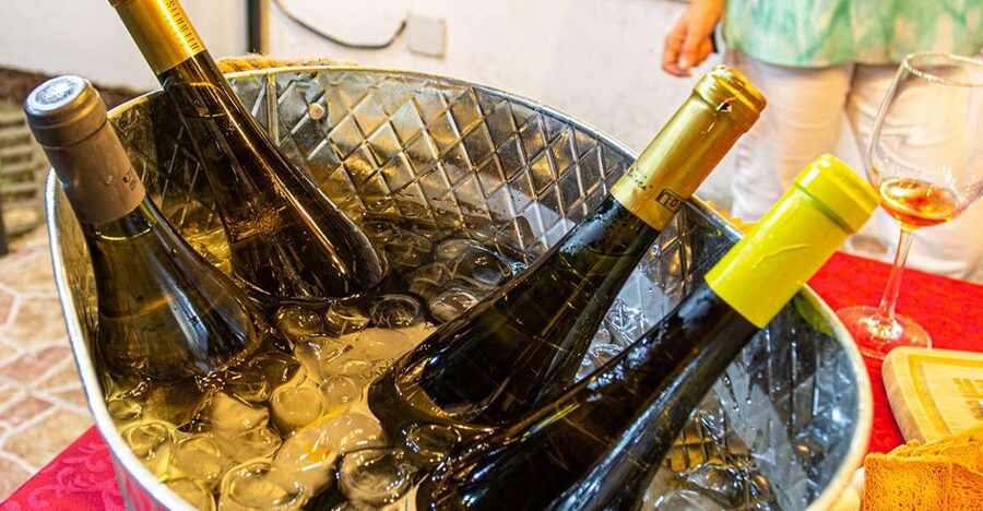 Terceira: Volcanic Wine Tasting Tour with Tapas - How the small group changes the experience