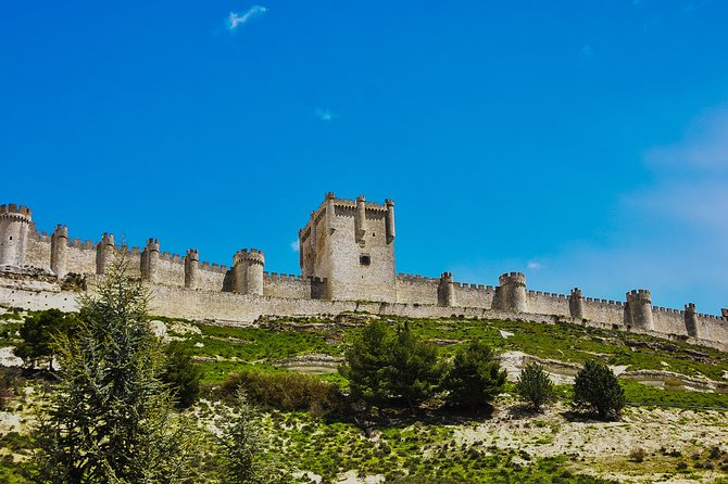 Tour in Ribera del Duero "like a native", with traditional Spanish tapas - Why Ribera del Duero works so well for a wine day