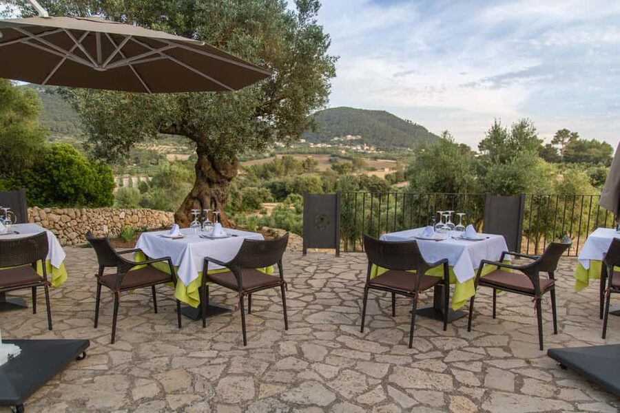 Treurer: Tapas Gourmet and Extra Virgin Olive Oil - Who will enjoy this evening most