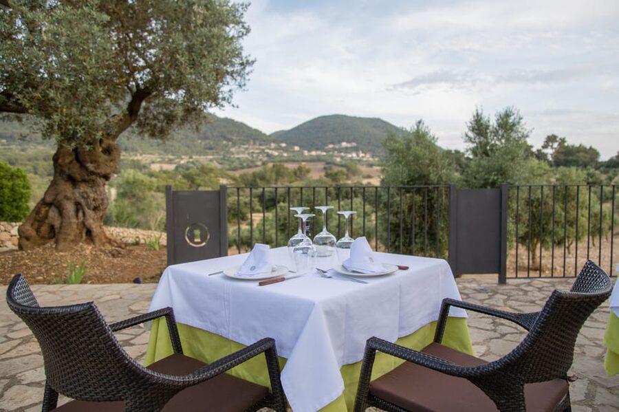 Treurer: Tapas Gourmet and Extra Virgin Olive Oil - Is the olive oil lesson worth your evening?