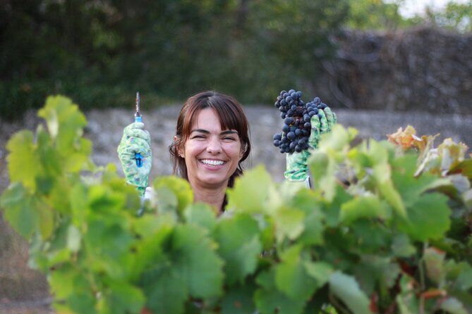 Urban winery tour, premium tasting flight & tapas - Five styles in the tasting flight