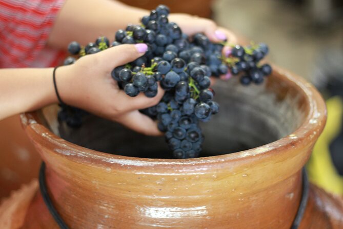 Urban winery tour, premium tasting flight & tapas - What the tasting teaches you to notice