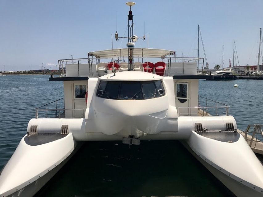 Valencia: Catamaran Cruise, Paella Lunch and Swim Stop - A short Mediterranean cruise with a clear purpose
