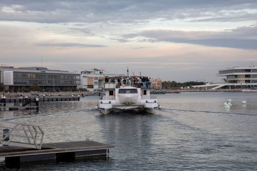Valencia: Catamaran Cruise, Paella Lunch and Swim Stop - Who will enjoy this catamaran outing?