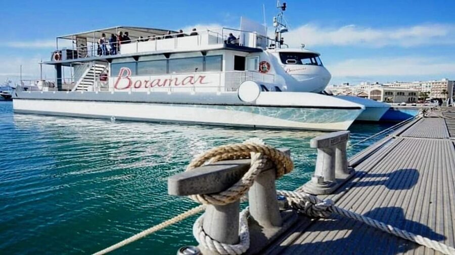 Valencia: Catamaran Cruise, Paella Lunch and Swim Stop - Practical advice for a smoother trip