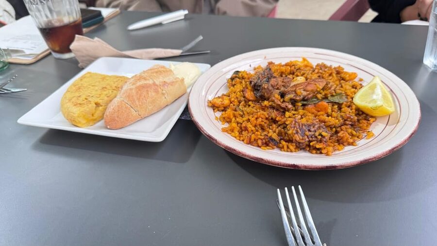 Valencia: Guided Private Bike Tour with Tapas and Drinks - Túria Park, Valencia’s Open-Air Break