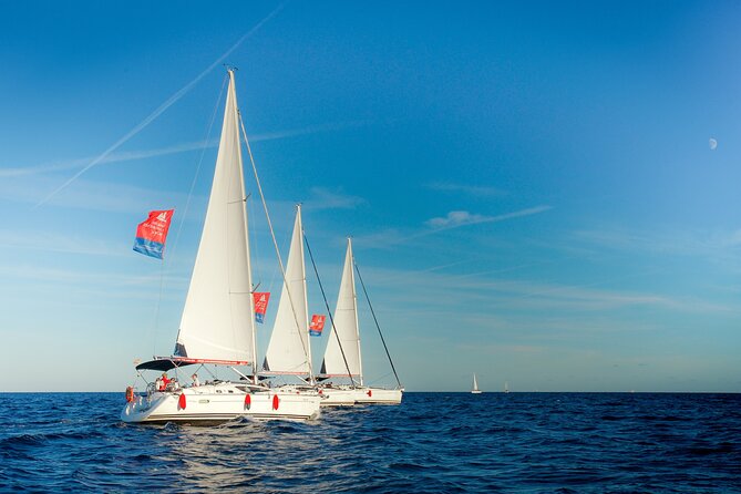 Vermut & Sailing Experience Barcelona with Drinks and Snacks - The chance to swim in the Mediterranean