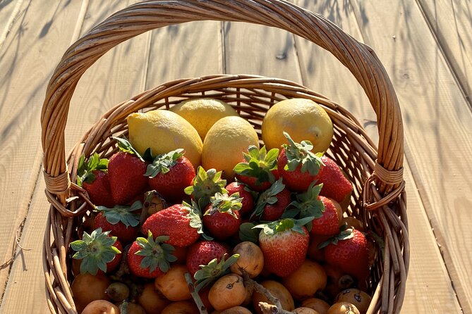 Vilamoura, Albufeira & Porches: Wine Tasting, Tapas & Music Tour - Gorete and Paulo’s personal hosting style
