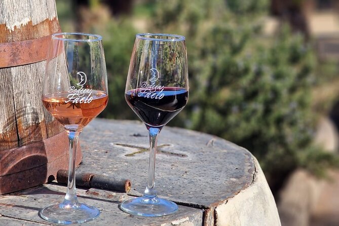 Wine and Tapas Tasting Tour from Alicante, Private Van - A compact wine outing from Alicante