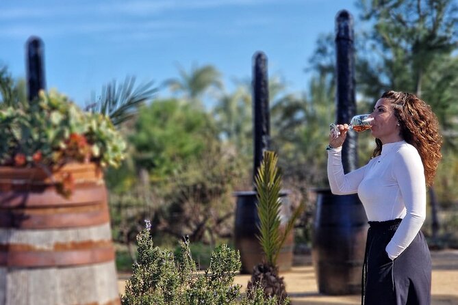 Wine and Tapas Tasting Tour from Alicante, Private Van - What you see at Bodegas Faelo
