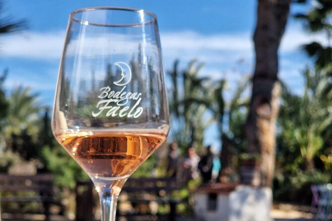 Wine and Tapas Tasting Tour from Alicante, Private Van - Spanish tapas make the price more useful