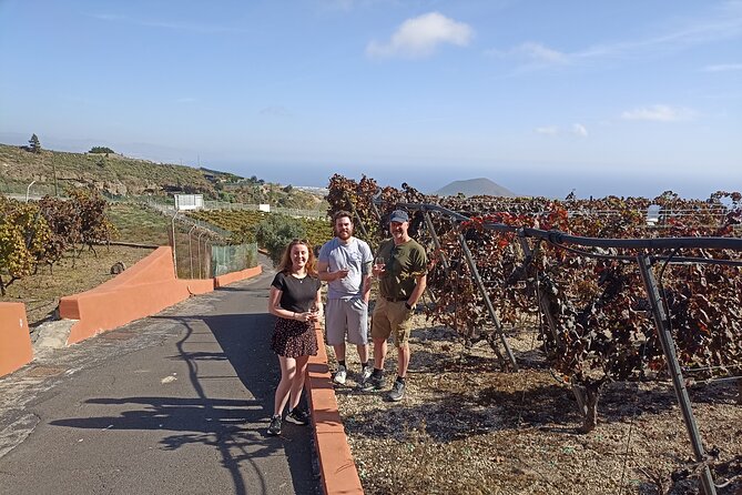 Wine, Canarian Tapas, Culture, VIP Private tour - photos included - Candelaria and the Basilica of the Island’s Patron