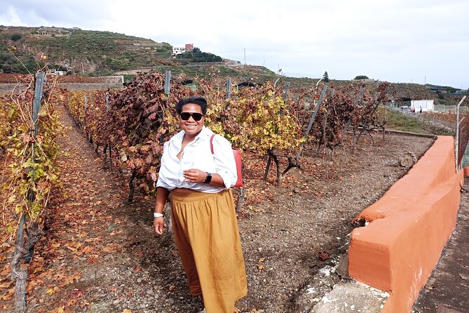 Wine, Canarian Tapas, Culture, VIP Private tour - photos included - Timing, Walking, and Practical Limits