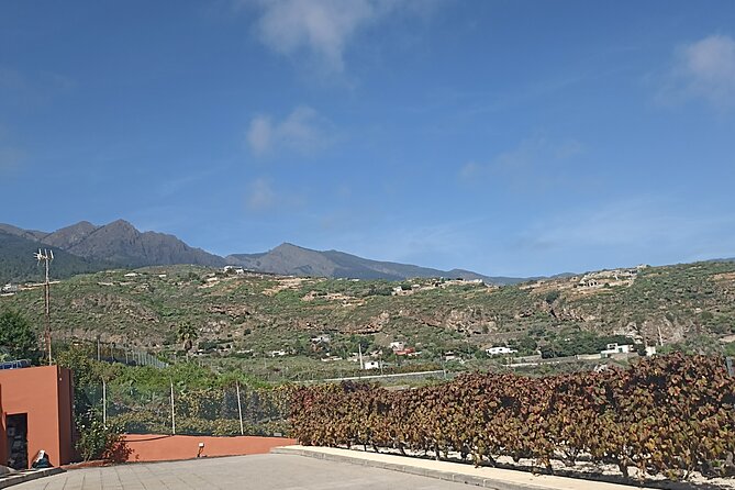 Wine, Canarian Tapas, Culture, VIP Private tour - photos included - Who Will Get the Most From This Tour