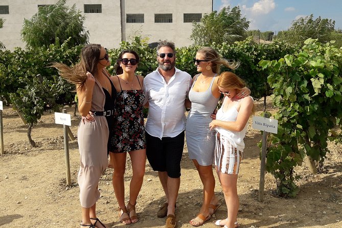 Wine & Cava Penedes Tour: Wineries, Wine Tasting and Tapas - Should you book this Penedès tour?