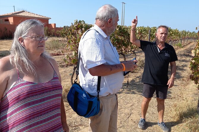 Wine Lovers: Winery Tour w/ Tasting & Tapas (Albufeira/Vilamoura) - Pickup from Albufeira or Vilamoura