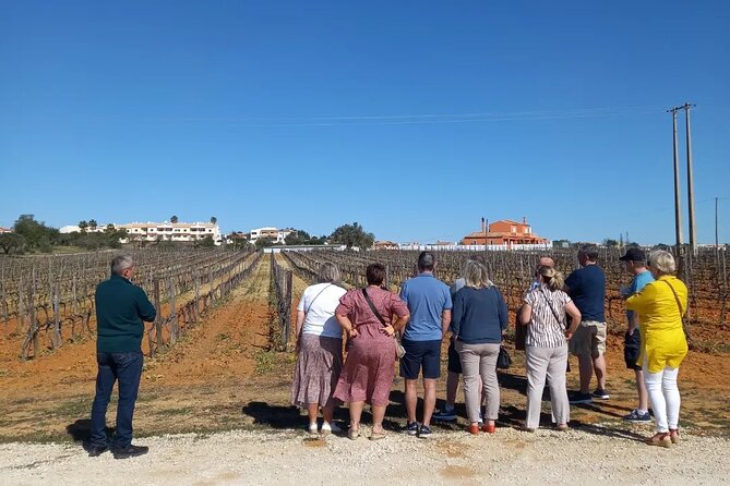 Wine Lovers: Winery Tour w/ Tasting & Tapas (Albufeira/Vilamoura) - Firewater, almond liqueur, and a pastel de nata
