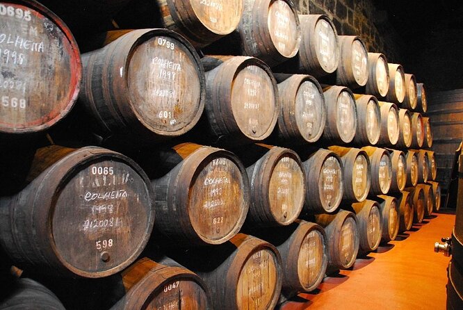 Wine, Tapas and Winery Tour - Key points to know before booking