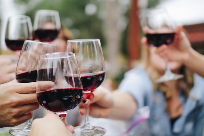 Wine, Tapas & Lake Zahara by e-bike incl Ronda pickup (full day) - Why the six-person limit matters