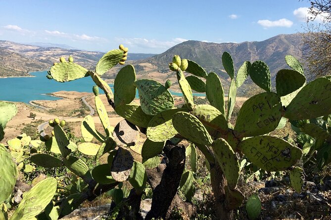 Wine, Tapas & Lake Zahara by e-bike incl Ronda pickup (full day) - The roads and scenery between the stops