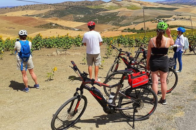 Wine, Tapas & Lake Zahara by e-bike incl Ronda pickup (full day) - How the transport arrangement affects the day