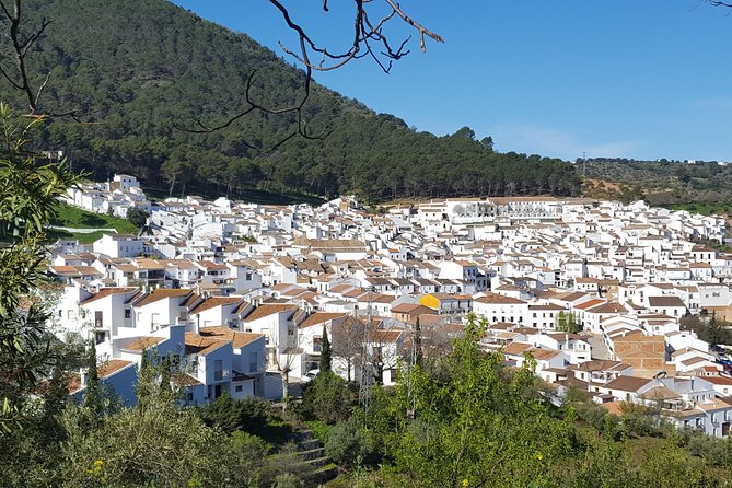 Wine & Tapas tour by electric bike (e-bike) including Ronda pickup (full day) - Why the private format is worth considering