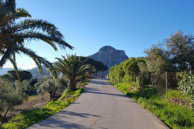 Wine & Tapas tour by electric bike (e-bike) including Ronda pickup (full day) - What the guides add to the day