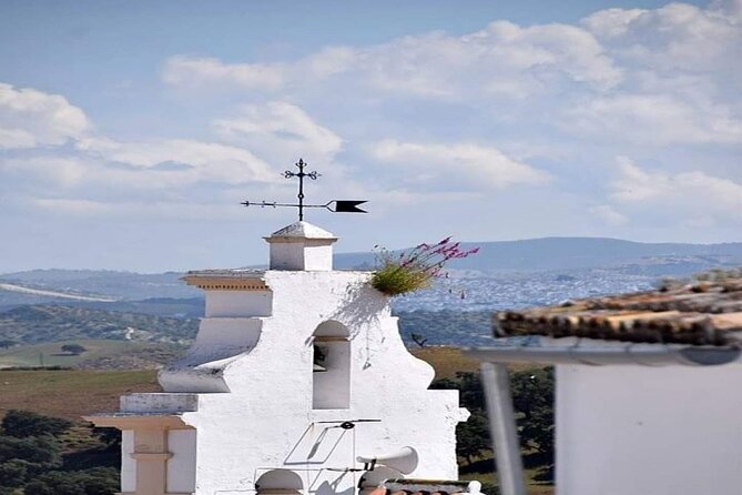 Wine & Tapas tour by electric bike (e-bike) including Ronda pickup (half day) - What the $108.13 price covers