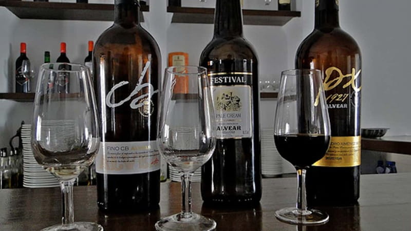 Wine Tasting and local tapas delight in Cordoba - Why Montilla-Moriles is worth your time