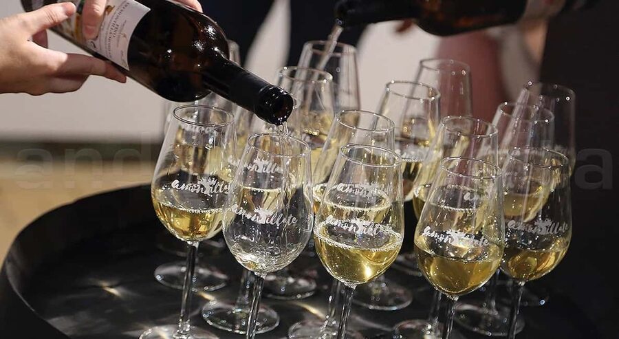Wine Tasting and local tapas delight in Cordoba - Who will enjoy this tasting most