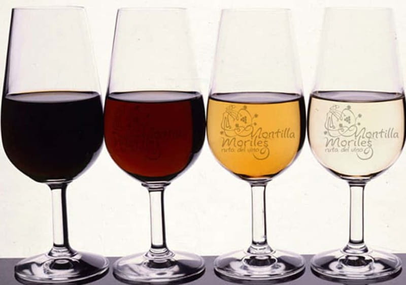 Wine Tasting and local tapas delight in Cordoba - Four wines, four different impressions