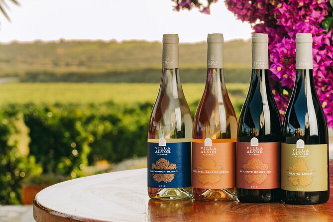 Wine Tasting & Tapas 4x4 Tours - Key points at a glance