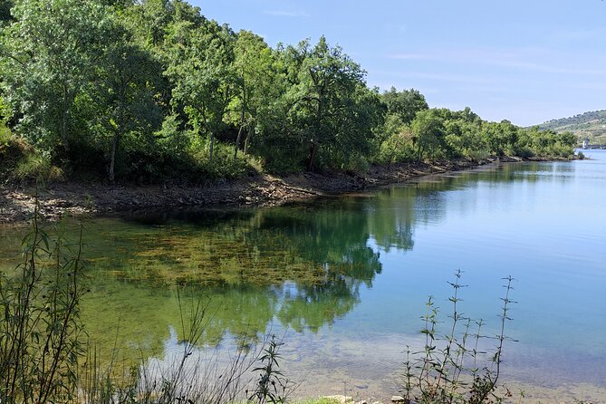 Wine Tasting & Tapas 4x4 Tours - The ride from Lagos to the Algarve interior
