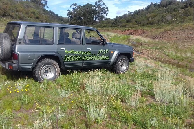 Wine Tasting & Tapas 4x4 Tours - Who should book this outing?