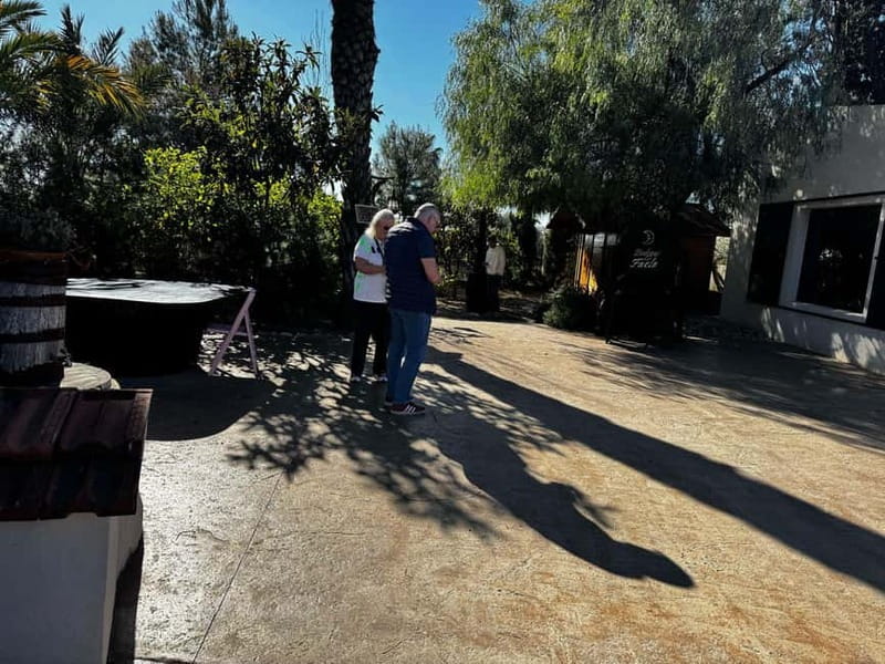 Winery Visit and Tasting in Elche with wines and tapas from Alicante in Van - Key points at a glance