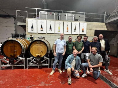 Winery Visit and Tasting in Elche with wines and tapas from Alicante in Van