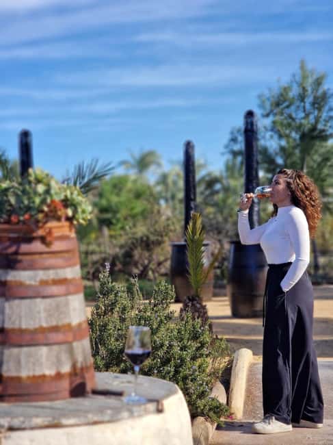 Winery Visit and Tasting in Elche with wines and tapas from Alicante in Van - Three or four Alicante wines with local pairings