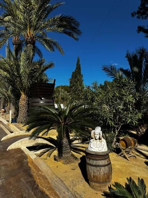 Winery Visit and Tasting in Elche with wines and tapas from Alicante in Van - Who should book this wine outing?