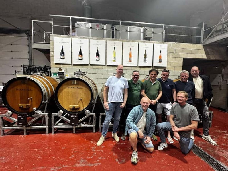Winery Visit and Tasting in Elche with wines and tapas from Alicante in Van - A relaxed welcome before the tasting